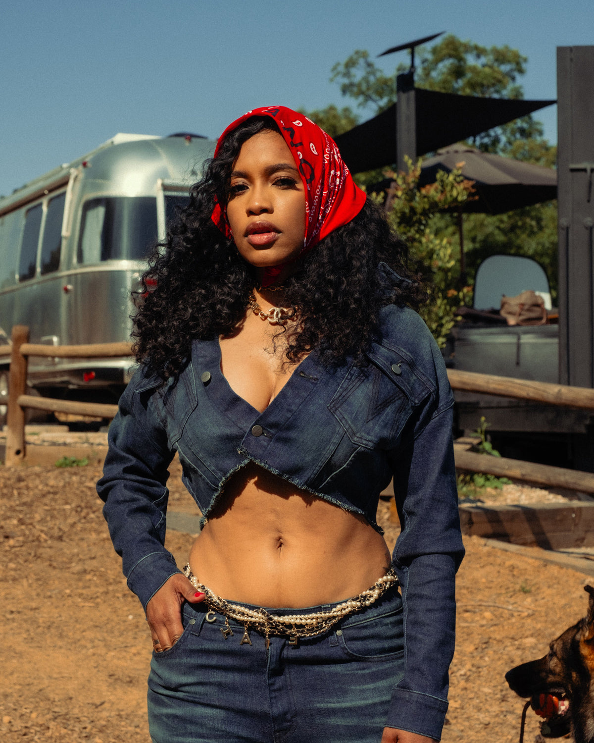 Martian Denim Crop Jacket